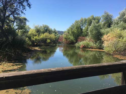 Oxbow at Anderson Marsh